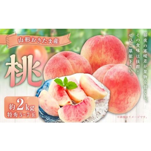 ふるさと納税 もも 山形県 白鷹町 山形おきたま産もも(川中島白桃・まどかなど)(特秀)5玉〜7玉 (約2kg) もも 桃 フルーツ 果物 果実 冷蔵 山形県 白鷹町…