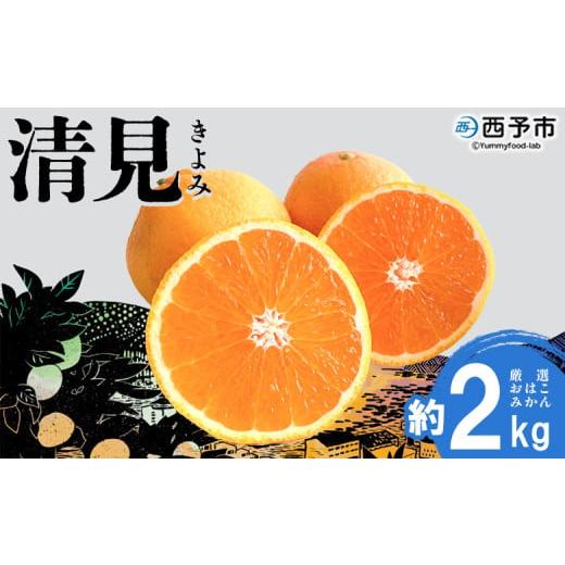 ふるさと納税 みかん・柑橘類 愛媛県 西予市 おはこやがつくる 清見 約2kg(L〜3Lサイズ) 果物 フルーツ 柑橘 清見タンゴール みかん 特産品 西宇和 愛媛県 …