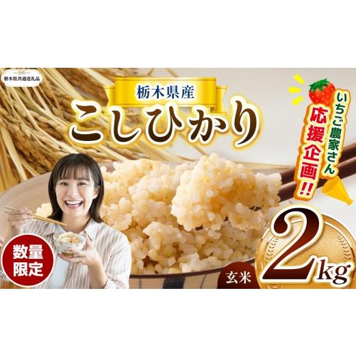 ふるさと納税 玄米 栃木県 那珂川町 栃木県共通返礼品 先行予約 新米 訳あり 定期便 数量 限定 令和8年度産 こしひかり 玄米 約 2kg | とちぎの星 ミルキーク…