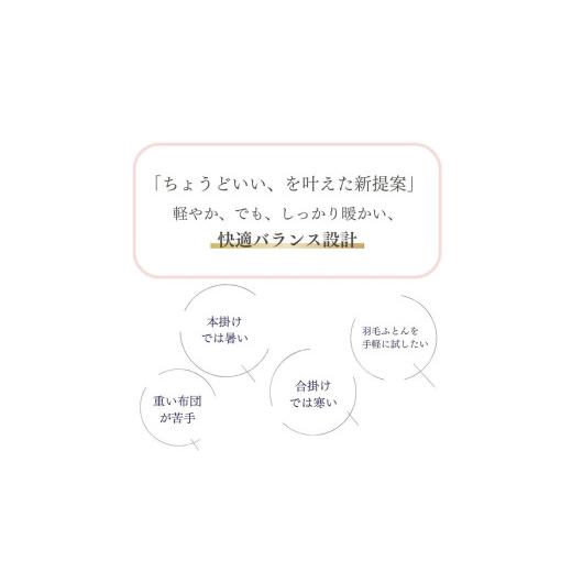 ふるさと納税 タオル・寝具 京都府 亀岡市  アッシュベージュ 羽毛布団 シングル ホワイトダックダウン85% 本掛けLight 国産 羽毛ふとん 掛け布団 寝具 布団 …の画像