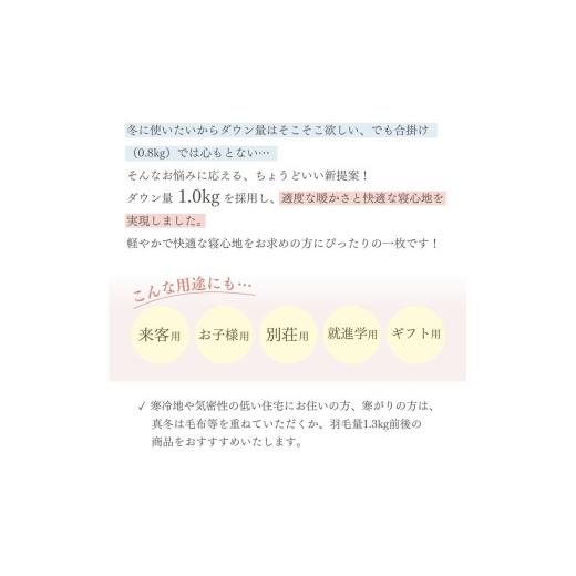 ふるさと納税 タオル・寝具 京都府 亀岡市  スモーキーグレー 羽毛布団 シングル ホワイトダックダウン85% 本掛けLight 国産 羽毛ふとん 掛け布団 寝具 布団 …の画像