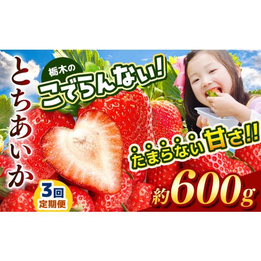 ふるさと納税 いちご 栃木県 真岡市 定期便3回 栃木のこでらんないイチゴ(とちあいか) 約300g×2| とちあいか いちご イチゴ 栃木 日本一 高糖度 酸味が少…