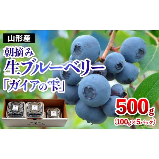 ふるさと納税 果物類 山形県 山形市 山形の朝摘み生ブルーベリー「ガイアの雫」500g(100g×5パック) 令和8年産先行予約 FS25-705 くだもの 果物 フルーツ 山形…