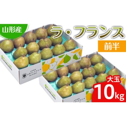 ふるさと納税 梨 山形県 山形市 山形のラ・フランス大玉 10kg(20〜28玉) 前半 令和8年産先行予約 FS25-747