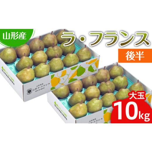 ふるさと納税 梨 山形県 山形市 山形のラ・フランス大玉 10kg(20〜28玉) 後半 令和8年産先行予約 FS25-748