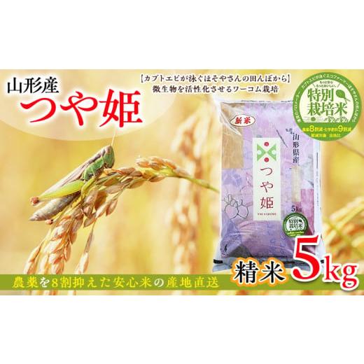 ふるさと納税 米 つや姫 山形県 山形市 令和7年度産 山形産 「つや姫」5kg (精米) 特別栽培米 8割減農薬・9割減化学肥料(当地比) カブトエビが泳ぐほそやさ…