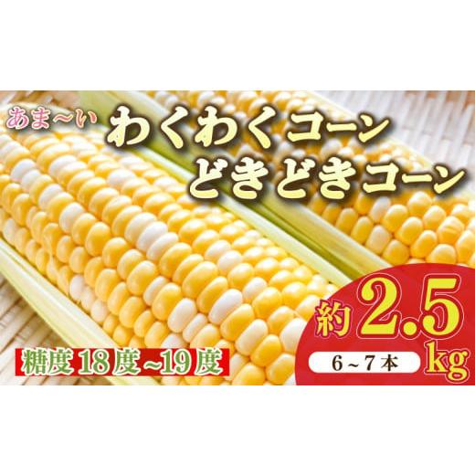ふるさと納税 野菜類 静岡県 牧之原市 予約受付令和8年6月から発送開始 とうもろこし 野菜 スイーツ わくわくコーン どきどきコーン 6 〜 7 本 約 2.5kg 糖度…