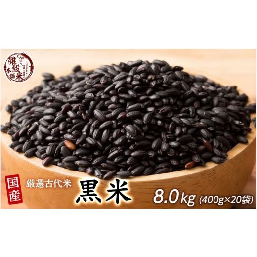 ふるさと納税 雑穀 静岡県 静岡市 国産黒米 8kg(400g×20袋)