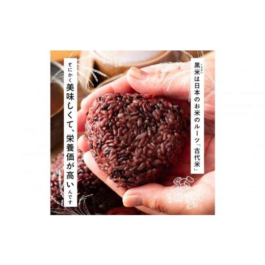 ふるさと納税 雑穀 静岡県 静岡市 国産黒米 8kg(400g×20袋)