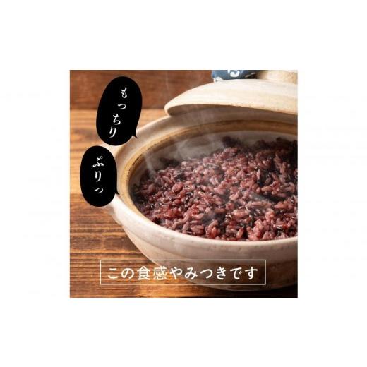 ふるさと納税 雑穀 静岡県 静岡市 国産黒米 8kg(400g×20袋)