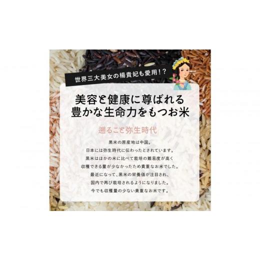 ふるさと納税 雑穀 静岡県 静岡市 国産黒米 8kg(400g×20袋)