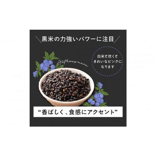 ふるさと納税 雑穀 静岡県 静岡市 国産黒米 8kg(400g×20袋)