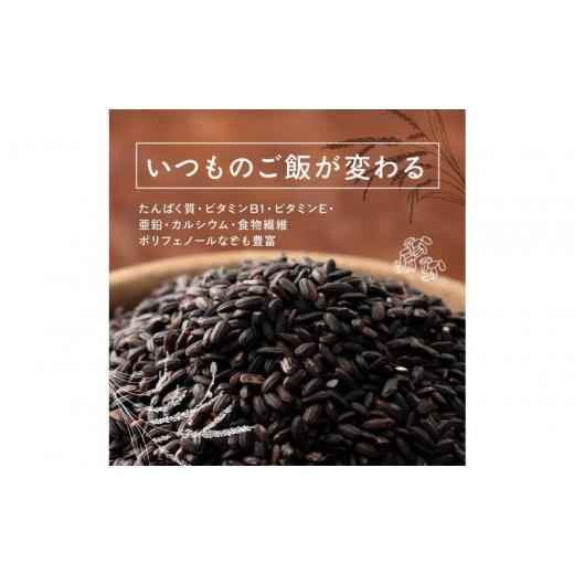 ふるさと納税 雑穀 静岡県 静岡市 国産黒米 8kg(400g×20袋)