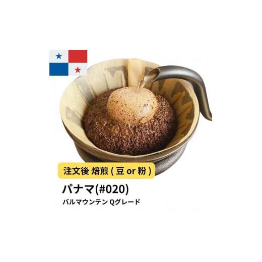 ふるさと納税 コーヒー コーヒー粉 大阪府 堺市 粉 コーヒー #020 パナマ バルマウンテン Qグレード 310g 当日焙煎 大山珈琲 中挽き