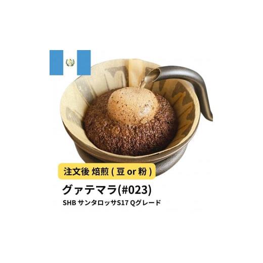 ふるさと納税 コーヒー コーヒー豆 大阪府 堺市 豆 コーヒー #023 グァテマラSHB サンタロッサS17 310g 当日焙煎 大山珈琲 豆のまま