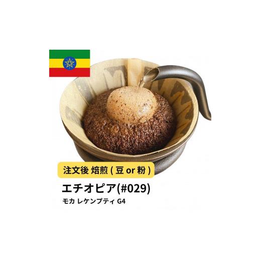 ふるさと納税 コーヒー コーヒー粉 大阪府 堺市 粉 コーヒー #029 モカ レケンプティ G-4 エチオピア 310g 当日焙煎 大山珈琲 中挽き