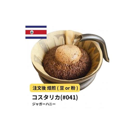 ふるさと納税 コーヒー コーヒー豆 大阪府 堺市 豆 コーヒー #041 コスタリカ FSHB タラス ジャガーハニー 310g 当日焙煎 大山珈琲 豆のまま