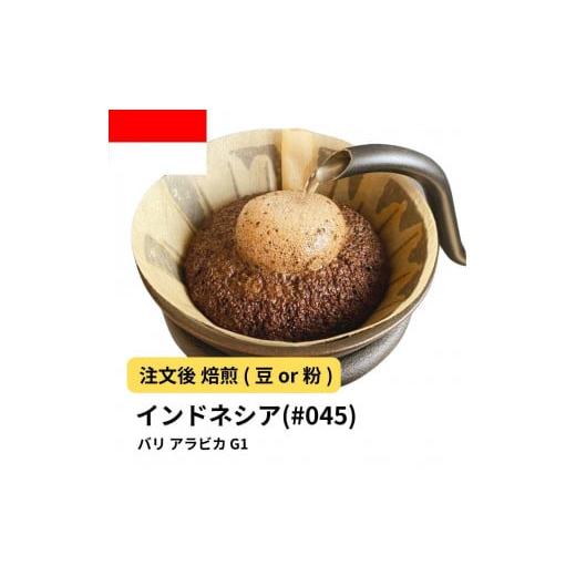 ふるさと納税 コーヒー コーヒー粉 大阪府 堺市 粉 コーヒー #045 バリ アラビカ G1 310g 当日焙煎 大山珈琲 中挽き