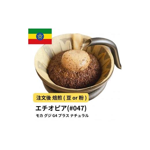 ふるさと納税 コーヒー コーヒー豆 大阪府 堺市 豆 コーヒー #047 モカ グジ G4 プラス ナチュラル 310g 当日焙煎 大山珈琲 豆のまま