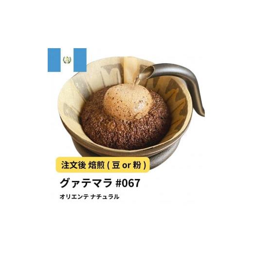 ふるさと納税 コーヒー コーヒー粉 大阪府 堺市 粉 コーヒー #067 グアテマラ オリエンテ ナチュラル 310g 当日焙煎 大山珈琲 中挽き