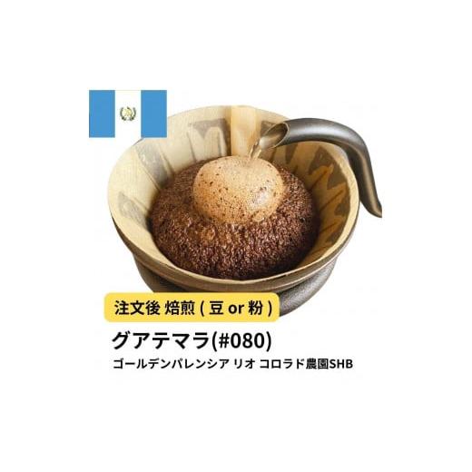 ふるさと納税 コーヒー コーヒー豆 大阪府 堺市 豆 コーヒー #080 グアテマラ ゴールデンパレンシア リオ コロラド農園SHB 310g 当日焙煎 大山珈琲 豆のまま