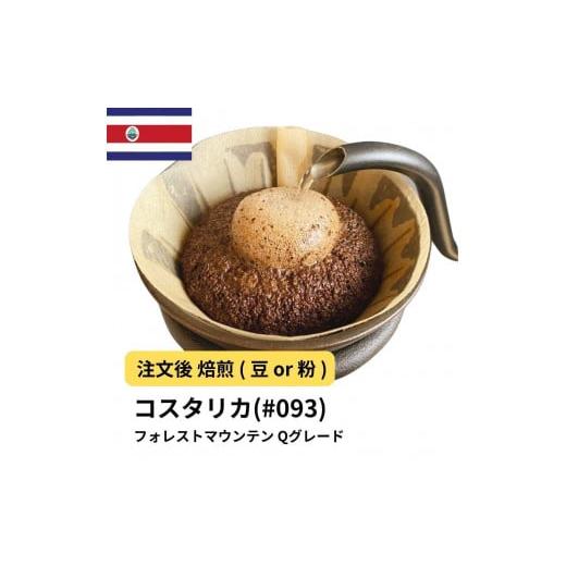 ふるさと納税 コーヒー コーヒー豆 大阪府 堺市 粉 コーヒー #093 コスタリカ フォレストマウンテン Qグレード 310g 当日焙煎 大山珈琲 中挽き