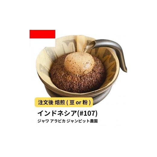 ふるさと納税 コーヒー コーヒー豆 大阪府 堺市 豆 コーヒー #107 ジャワ アラビカ ジャンピット農園 310g 当日焙煎 大山珈琲 豆のまま