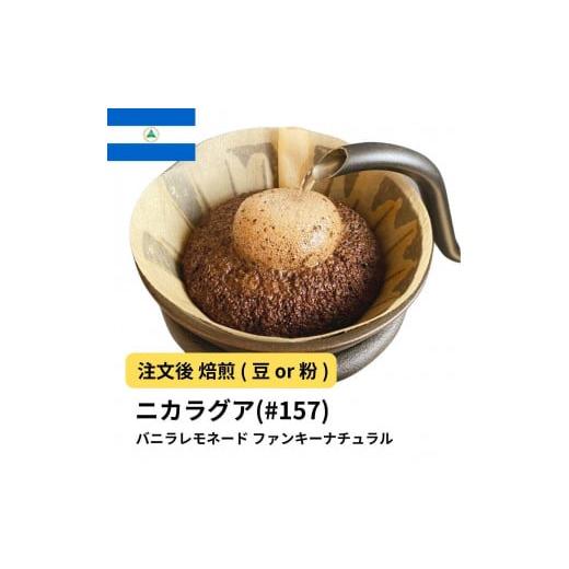 ふるさと納税 コーヒー コーヒー豆 大阪府 堺市 豆 コーヒー #157 ニカラグア バニラレモネード リモンシリョ農園 ファンキーナチュラル 310g 当日焙煎 大山…
