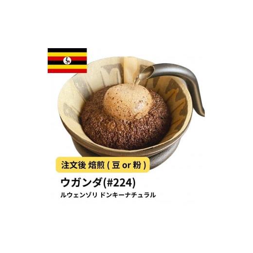 ふるさと納税 コーヒー コーヒー豆 大阪府 堺市 粉 コーヒー #224 ウガンダ ルウェンゾリ ドンキーナチュラル 310g 当日焙煎 大山珈琲 中挽き