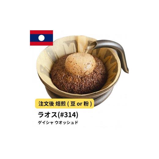 ふるさと納税 コーヒー コーヒー豆 大阪府 堺市 豆 コーヒー #314 ラオス ゲイシャ100% ウオッシュド 310g 当日焙煎 大山珈琲 豆のまま