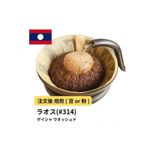ふるさと納税 コーヒー コーヒー豆 大阪府 堺市 粉 コーヒー #314 ラオス ゲイシャ100% ウオッシュド 310g 当日焙煎 大山珈琲 中挽き