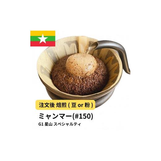 ふるさと納税 コーヒー コーヒー豆 大阪府 堺市 豆 コーヒー #150 ミャンマー G1 星山 310g 当日焙煎 大山珈琲 豆のまま