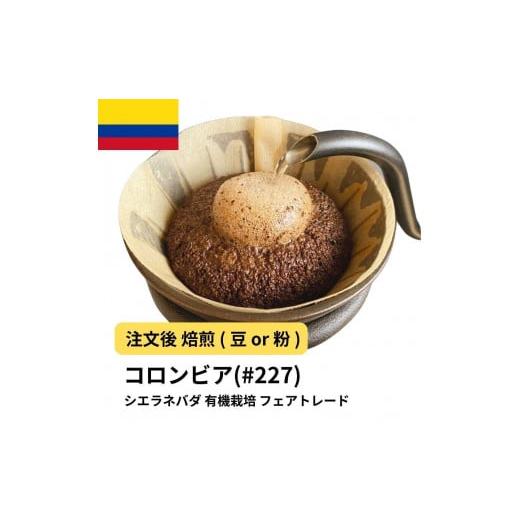 ふるさと納税 コーヒー コーヒー豆 大阪府 堺市 豆 コーヒー #227 コロンビア シエラネバダ 有機栽培 310g 当日焙煎 大山珈琲 豆のまま