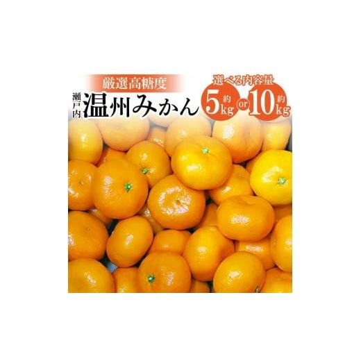 ふるさと納税 果物類 みかん 香川県 高松市 内容量が選べる 瀬戸内温州みかん 厳選高糖度 2026年10月上旬〜2027年1月中旬配送