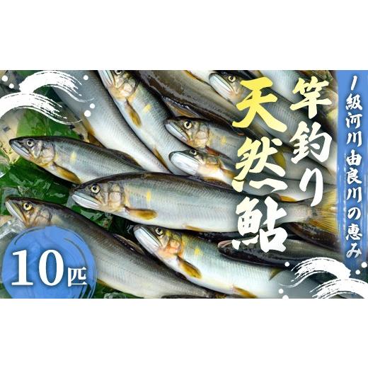 ふるさと納税 川魚 あゆ 京都府 綾部市 2026年夏発送 天然鮎 竿釣り 5匹 (17〜23cm) 冷蔵 由良川の竿釣り 由良川漁協 あゆ 鮎 新鮮 魚 さかな 直送 綾部 京…