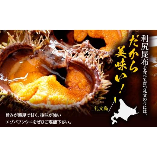 ふるさと納税 ウニ 北海道 礼文町 北海道 礼文島産 採れたて バフンウニ 塩水パック 50g&times;1 生うに 生ウニ 塩水うに 魚貝類 雲丹