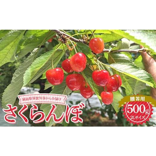 ふるさと納税 果物類 さくらんぼ 福島県 須賀川市 先行予約 さくらんぼ 佐藤錦 紅秀峰 紅てまり どれか1品種 500g 2L 贈答用 有我果樹園 さくらんぼ サクラン…