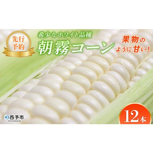 ふるさと納税 とうもろこし 愛媛県 西予市 先行予約 朝霧(あさぎり)コーン 12本 国産 雪の妖精 ホワイトコーン 白い 白 とうもろこし 幻のとうもろこし 生…
