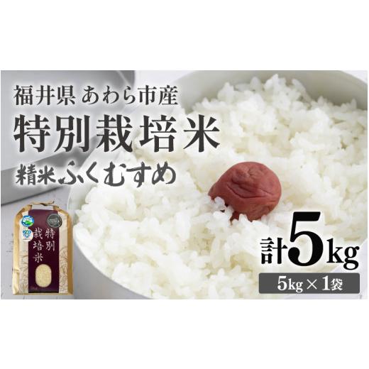 ふるさと納税 米 福井県 あわら市 先行予約 令和8年産 化学肥料不使用 ふくむすめ 精米 5kg / 白米 米 福井県あわら市産 美味しい 特別栽培米 減農薬 安心な…