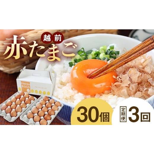 ふるさと納税 卵(鶏、烏骨鶏等) 福井県 越前市 定期便3回 ミネラルを豊富に含んだ越前赤玉子30個(27個+卵割れ補償3個)2023年2月28日テレビ朝日 羽鳥慎…