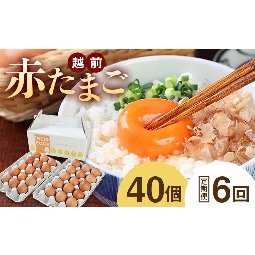 ふるさと納税 卵（鶏、烏骨鶏等） 福井県 越前市  定期便6回 ミネラルを豊富に含んだ越前赤玉子40個（36個＋卵割れ補償4個）2023年2月28日テレビ朝日　羽鳥慎…_1