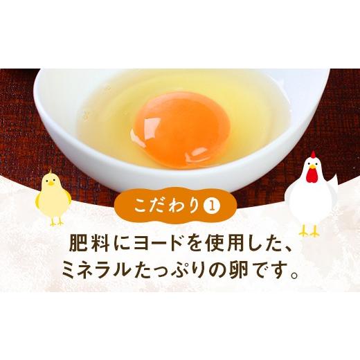 ふるさと納税 卵（鶏、烏骨鶏等） 福井県 越前市  定期便6回 ミネラルを豊富に含んだ越前赤玉子40個（36個＋卵割れ補償4個）2023年2月28日テレビ朝日　羽鳥慎…_2