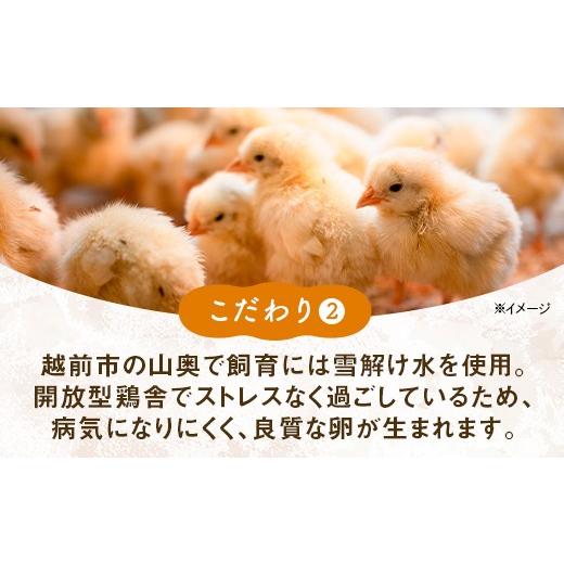 ふるさと納税 卵（鶏、烏骨鶏等） 福井県 越前市  定期便6回 ミネラルを豊富に含んだ越前赤玉子40個（36個＋卵割れ補償4個）2023年2月28日テレビ朝日　羽鳥慎…_3