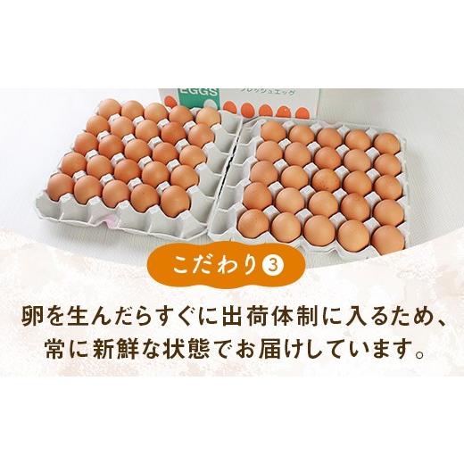 ふるさと納税 卵（鶏、烏骨鶏等） 福井県 越前市  定期便6回 ミネラルを豊富に含んだ越前赤玉子40個（36個＋卵割れ補償4個）2023年2月28日テレビ朝日　羽鳥慎…_4