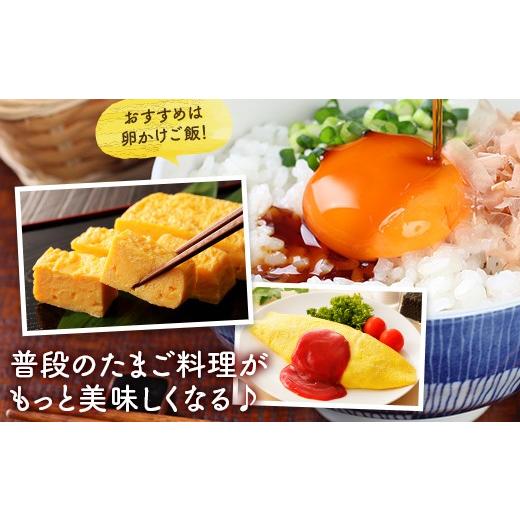 ふるさと納税 卵（鶏、烏骨鶏等） 福井県 越前市  定期便6回 ミネラルを豊富に含んだ越前赤玉子40個（36個＋卵割れ補償4個）2023年2月28日テレビ朝日　羽鳥慎…_5