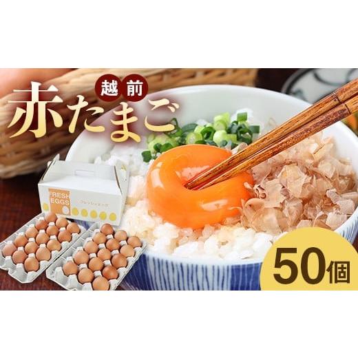 ふるさと納税 卵(鶏、烏骨鶏等) 福井県 越前市 ミネラルを豊富に含んだ越前赤玉子50個(45個+卵割れ補償5個)2023年2月28日テレビ朝日 羽鳥慎一 モーニン…