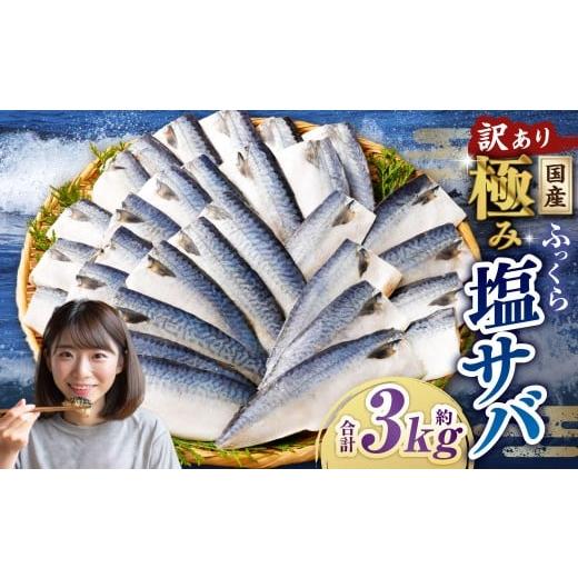 ふるさと納税 魚貝類 茨城県 神栖市  訳あり 国産 ふっくら 極み塩サバ 計約3kg ／ 1切れ 塩サバ 塩さば 塩鯖 さば サバ 鯖 魚 |  | 01