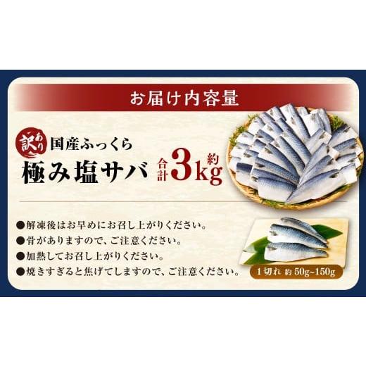 ふるさと納税 魚貝類 茨城県 神栖市  訳あり 国産 ふっくら 極み塩サバ 計約3kg ／ 1切れ 塩サバ 塩さば 塩鯖 さば サバ 鯖 魚 |  | 02