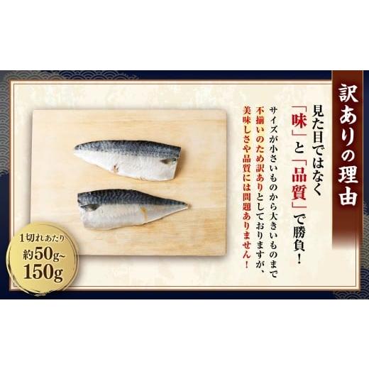 ふるさと納税 魚貝類 茨城県 神栖市  訳あり 国産 ふっくら 極み塩サバ 計約3kg ／ 1切れ 塩サバ 塩さば 塩鯖 さば サバ 鯖 魚 |  | 05