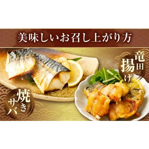 ふるさと納税 魚貝類 茨城県 神栖市  訳あり 国産 ふっくら 極み塩サバ 計約3kg ／ 1切れ 塩サバ 塩さば 塩鯖 さば サバ 鯖 魚 |  | 07